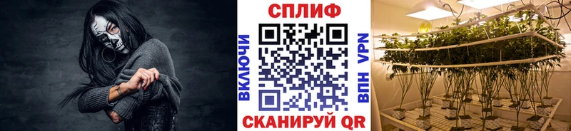 МАРИХУАНА конопля  Краснодар 